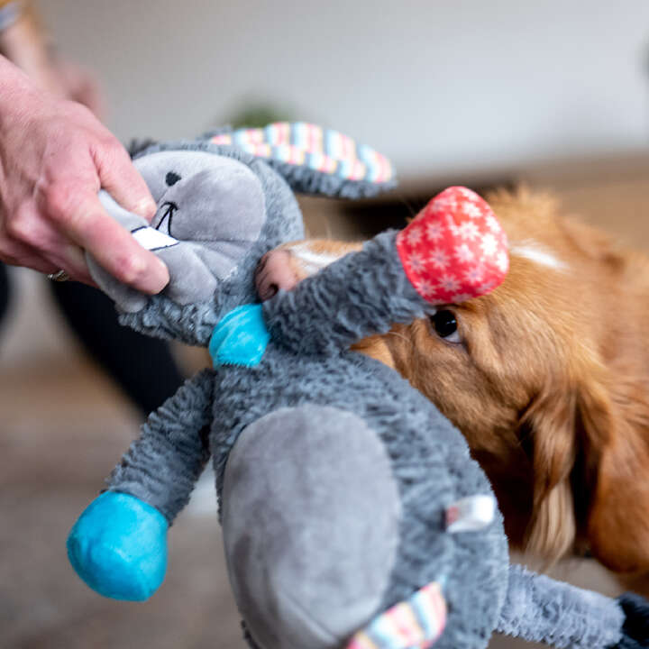 Nobby Plüschtier ESEL für Hunde